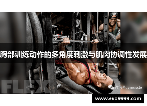 胸部训练动作的多角度刺激与肌肉协调性发展